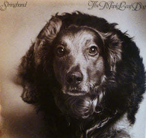 Stringband - The Maple Leaf Dog