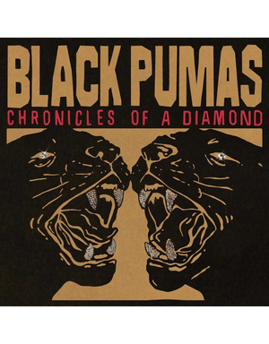 Black Pumas - Chronicles (Clear vinyl)