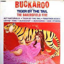 Bakersfield Five - Buckaroo Tiger by the Tail