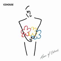 Icehouse - Man of Colours