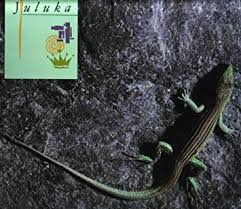 Juluka - Stand Your Ground