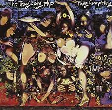 Tragically Hip - Fully Completely (180)