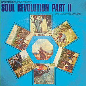 Bob Marley & The Wailers - Soul Revolution Part 11