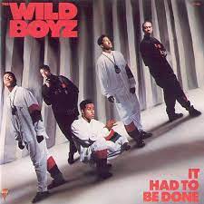 Wild Boyz - It Had To Be Done
